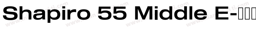 Shapiro 55 Middle E字体转换